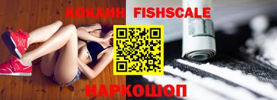 крисы Кулебаки