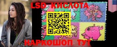 крисы Кулебаки