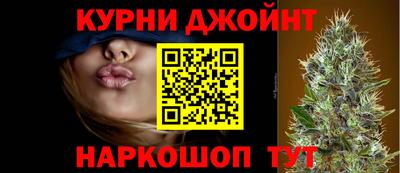 крисы Кулебаки