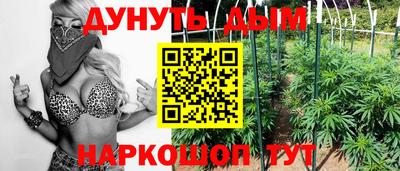 крисы Кулебаки