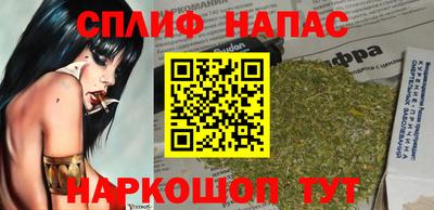 крисы Кулебаки