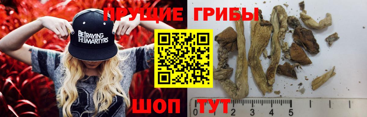 Советская Гавань  Псилоцибиновые грибы прущие грибы  Вход с VPN 
